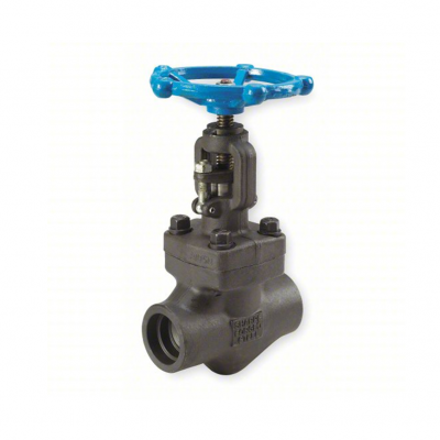 V&aacute;lvula globo acero carb&oacute;n socket well